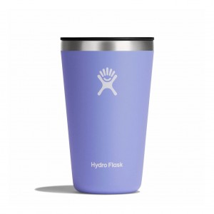Hydro Flask 16 oz All Around Tumbler Cups & Tumblers Lupine | EOYHUL-436