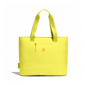 Hydro Flask 20 L Insulated Tote Insulated Totes Cactus | ZXLGWY-654