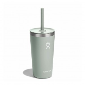 Hydro Flask 20 oz All Around Tumbler with Straw Lid Cups & Tumblers Agave | SFUHLY-210