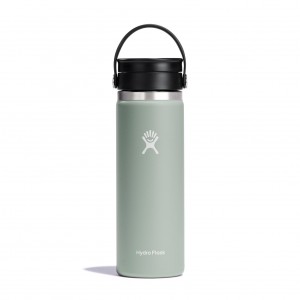 Hydro Flask 20 oz Coffee with Flex Sip Lid Coffee & Tea Agave | ILONXG-814
