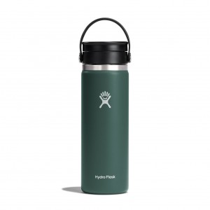 Hydro Flask 20 oz Coffee with Flex Sip Lid Coffee & Tea Fir | IJBEHP-410