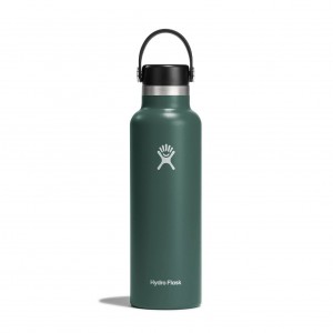 Hydro Flask 21 oz Standard Mouth Bottles Fir | DAOFSY-015