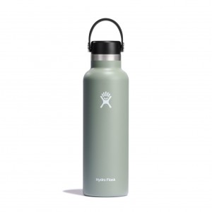 Hydro Flask 21 oz Standard Mouth Bottles Agave | APJIML-721