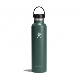 Hydro Flask 24 oz Standard Mouth Bottles Fir | AWFUMZ-192