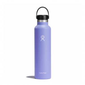 Hydro Flask 24 oz Standard Mouth Bottles Lupine | IKPJYN-463