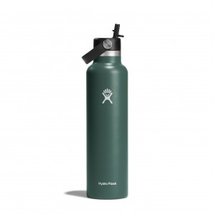 Hydro Flask 24 oz Standard Mouth with Flex Straw Cap Bottles Fir | QKNIBO-316