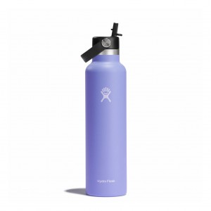 Hydro Flask 24 oz Standard Mouth with Flex Straw Cap Bottles Lupine | BPSNEJ-628