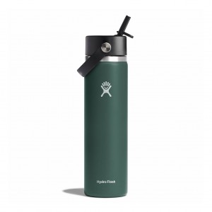 Hydro Flask 24 oz Wide Mouth with Flex Straw Cap Bottles Fir | UWCNME-401