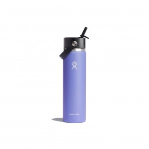 Hydro Flask 24 oz Wide Mouth with Flex Straw Cap Bottles Lupine | BVHJFW-084