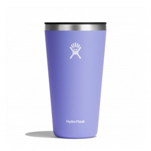 Hydro Flask 28 oz All Around Tumbler Cups & Tumblers Lupine | BQXHUR-183