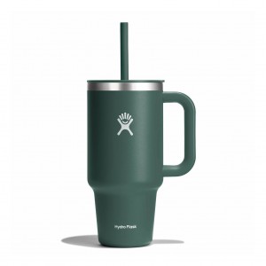 Hydro Flask 32 oz All Around Travel Tumbler Travel Tumbler Fir | OMDTKL-836