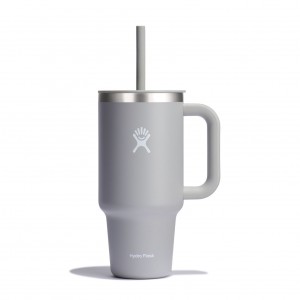 Hydro Flask 32 oz All Around Travel Tumbler Travel Tumbler Birch | HIVUST-906