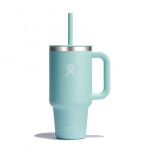 Hydro Flask 32 oz All Around Travel Tumbler Travel Tumbler Dew | UXIPEA-870