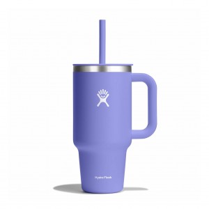 Hydro Flask 32 oz All Around Travel Tumbler Travel Tumbler Lupine | PZNKOB-590