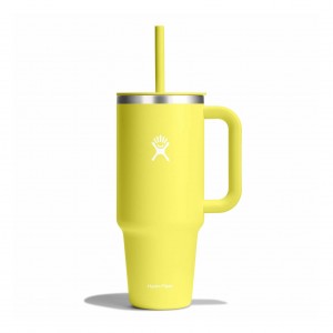 Hydro Flask 40 oz All Around Travel Tumbler Travel Tumbler Cactus | WTLPFO-167