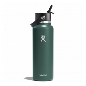 Hydro Flask 40 oz Wide Mouth with Flex Straw Cap Bottles Fir | IFURJP-063