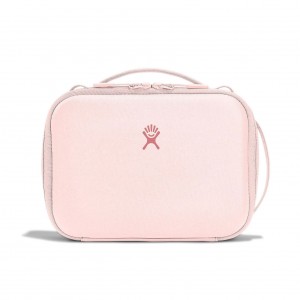 Hydro Flask 5 L Carry Out Lunch Box Lunch Boxes Trillium | GLKIFO-783