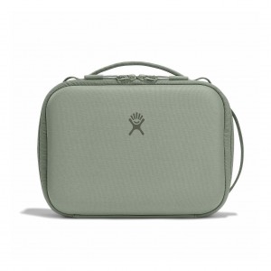Hydro Flask 5 L Carry Out Lunch Box Lunch Boxes Agave | VWRQZO-362