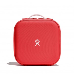 Hydro Flask Kids Insulated Lunch Box Lunch Boxes Goji | DCPGKN-167