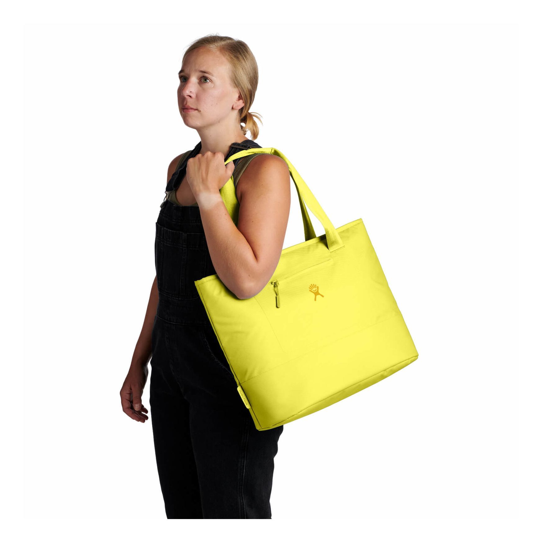 Hydro Flask 20 L Insulated Tote Insulated Totes Cactus | ZXLGWY-654
