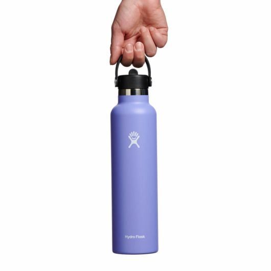 Hydro Flask 24 oz Standard Mouth with Flex Straw Cap Bottles Lupine | BPSNEJ-628