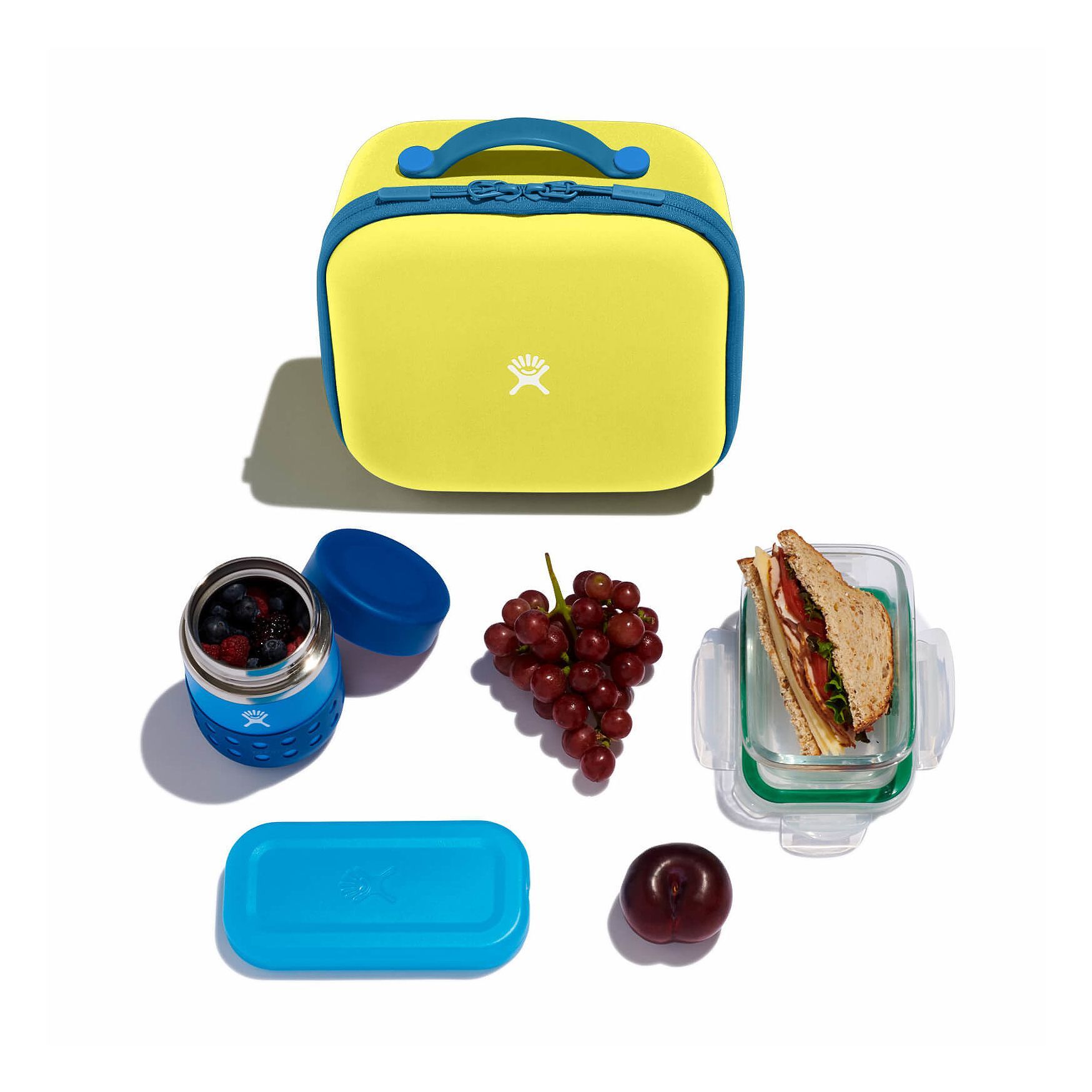 Hydro Flask Kids Insulated Lunch Box Lunch Boxes Cactus | CYDZQS-254