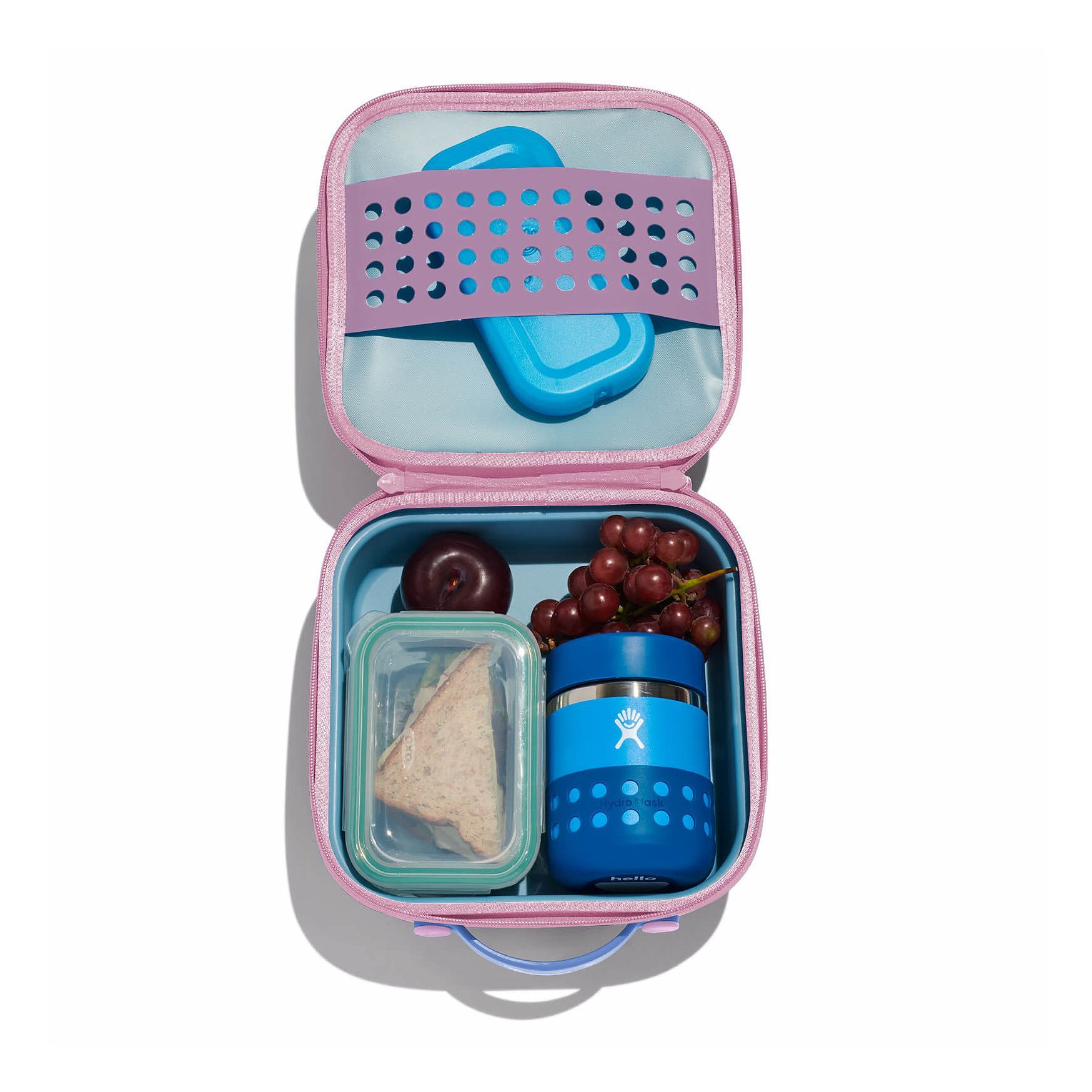 Hydro Flask Kids Insulated Lunch Box Lunch Boxes Anemone | SXYDIH-028